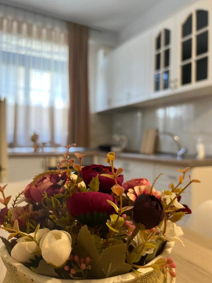 Sael Apartments Shkoder Ngoại thất bức ảnh