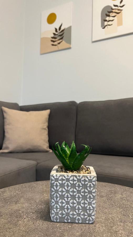 Sael Apartments Shkoder Ngoại thất bức ảnh